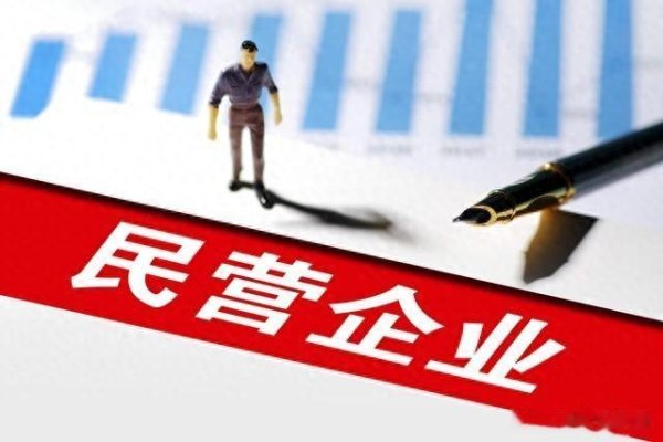 炒股配资技巧 现在民营企业最担心的是什么, 不是各种排队式检查、罚款, 而是?