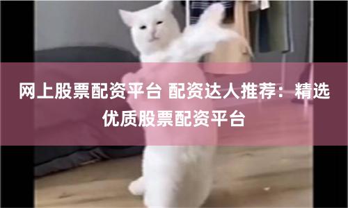 网上股票配资平台 配资达人推荐：精选优质股票配资平台