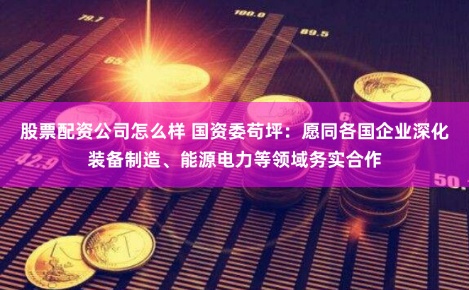 股票配资公司怎么样 国资委苟坪：愿同各国企业深化装备制造、能源电力等领域务实合作