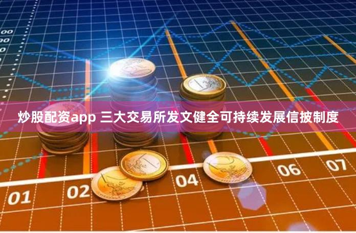 炒股配资app 三大交易所发文健全可持续发展信披制度