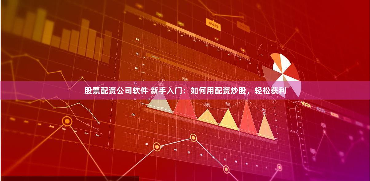 股票配资公司软件 新手入门：如何用配资炒股，轻松获利