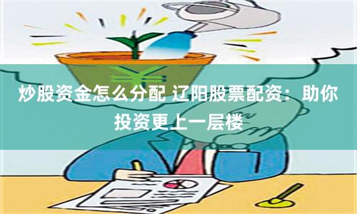 炒股资金怎么分配 辽阳股票配资：助你投资更上一层楼