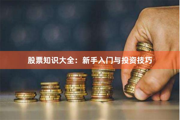 股票知识大全：新手入门与投资技巧