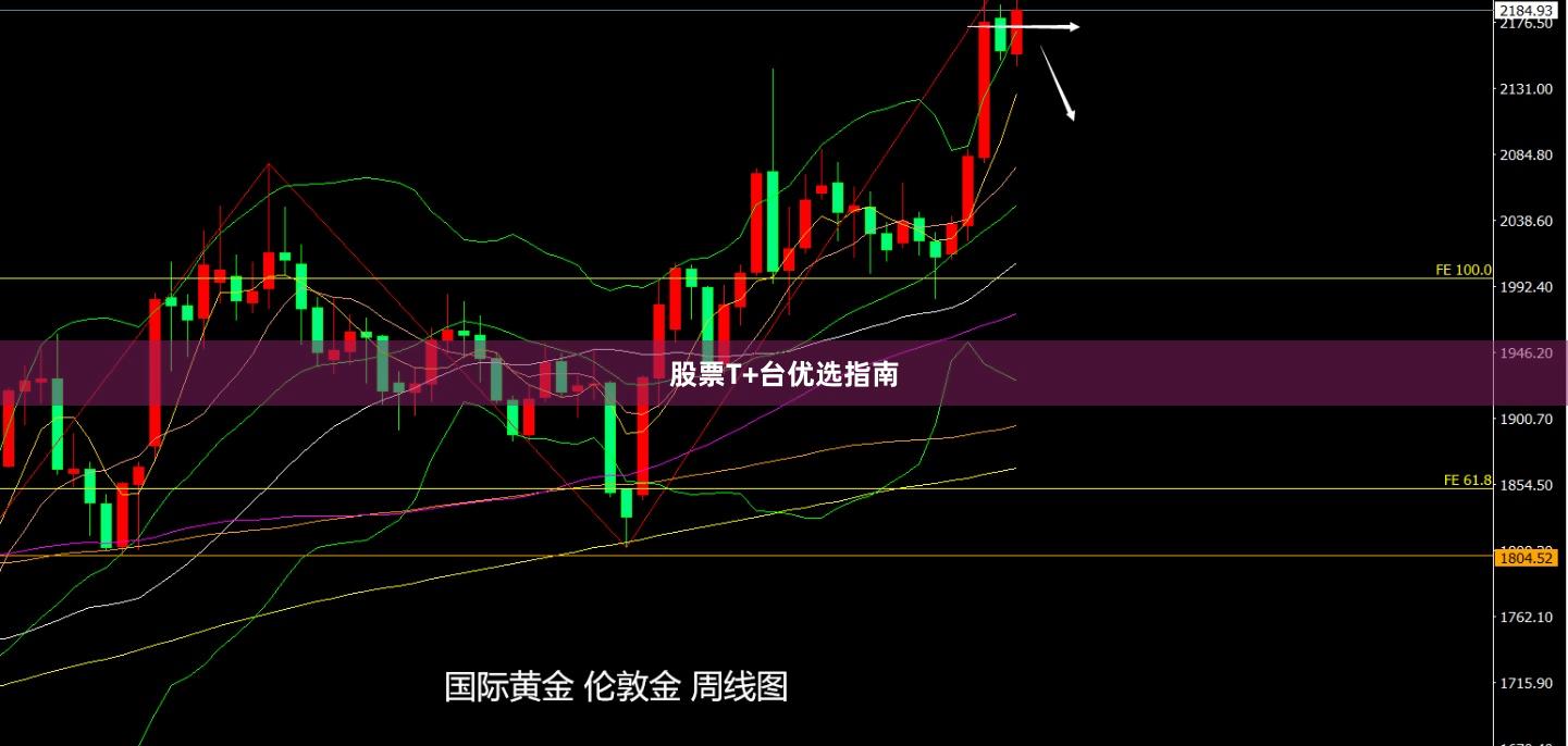 股票T+台优选指南