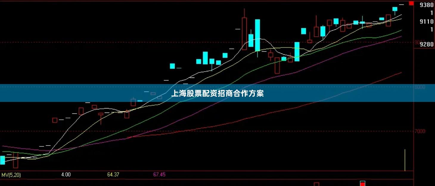 上海股票配资招商合作方案